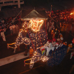 Festival of the Sacred Tooth, Kandy
