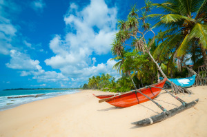 Untouched Tropical Beach Sri Lanka