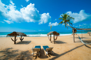 Tropical Beach in Sri Lanka