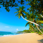 Untouched Tropical Beach in Sri Lanka