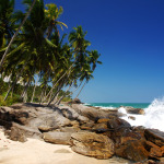 Tropical Paradise Sri Lanka