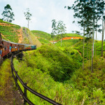 Travel by train through scenic mountain landscape in Nuwarelia, Sri Lanka