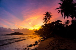 Tropical Beach in Sri Lanka