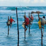 Stilt Fishermen Sri Lanka