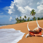Beautiful Beaches in Sri Lanka