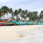 Traditional Sri Lankan Fishing Boats