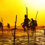 Stilt Fishing Sri Lanka