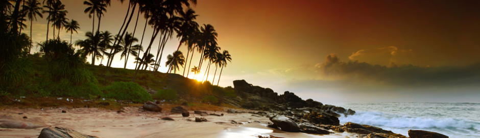 Sunrise under the palms, Sri Lanka