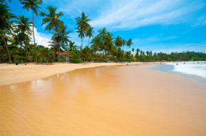 Beach Negombo Sri Lanka