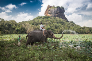 Elephant back ride Sri Lanka